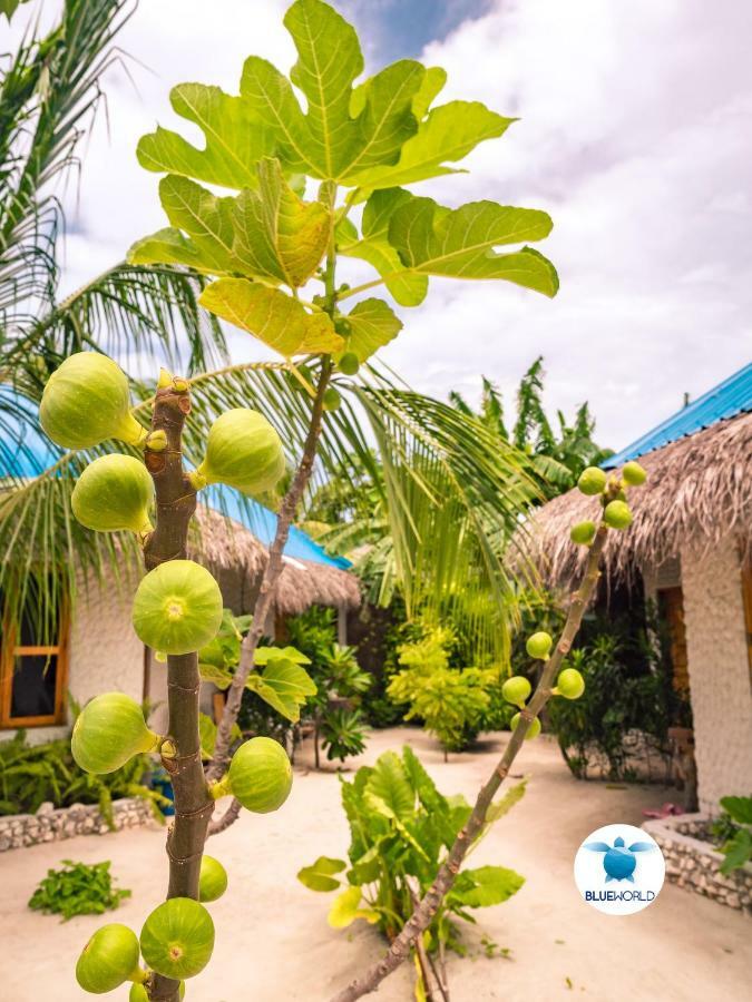 Blue World Dharavandhoo Kültér fotó